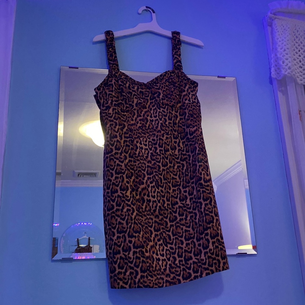 Zara Cheetah Dress